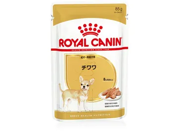 チワワ ウェット 成犬～高齢