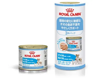 スターター ムース マザー＆ベビードッグ 子犬＆母