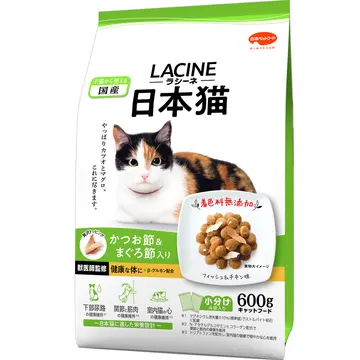 日本猫