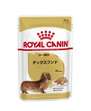 ダックスフンド ウェット 成犬～高齢