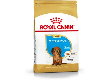 ダックスフンド 子