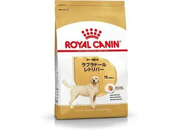 ラブラドールレトリバー 成犬~高齢