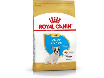 フレンチブルドッグ 子