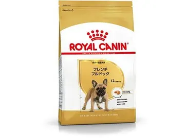 フレンチブルドッグ 成犬~高齢