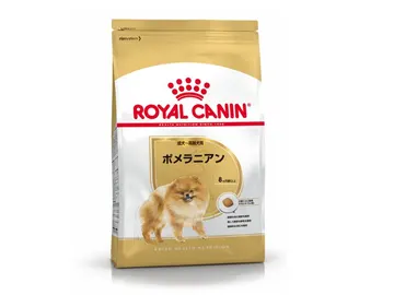 ポメラニアン 成犬~高齢