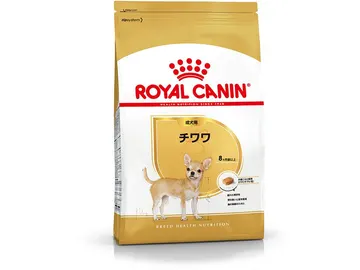 チワワ 成