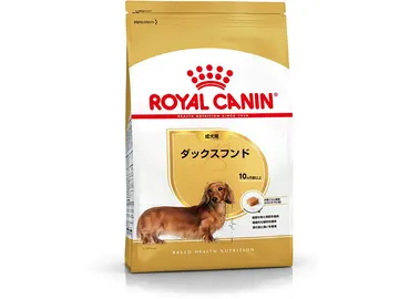 ダックスフンド 成