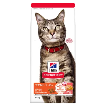 アダルト 1～6歳 成猫用 チキン＆サーモン